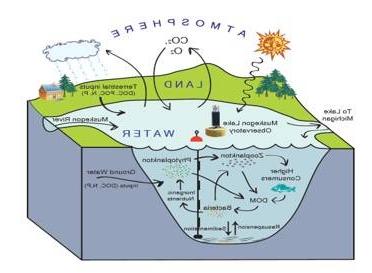 Diagram of 马斯基根 Lake Observatory within a lake ecosystem